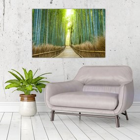 Tablou - Pădure de bambus (90x60 cm)