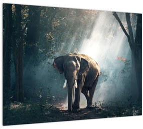 Tablou cu elefant în djunglă (70x50 cm), în 40 de alte dimensiuni noi