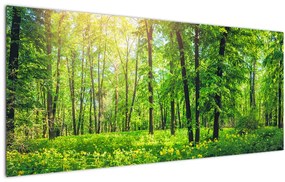 Tablou - Pădurea cu frunze de primăvară (120x50 cm)