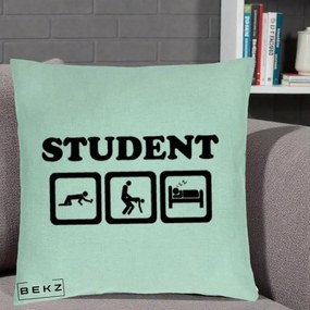 Perna Decorativa Student Life, 40x40 cm, Verde Menta, Husa Detasabila, Perna Inclusa, BEKZ®