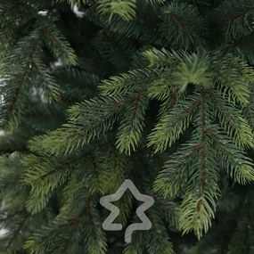 Molid de Himalaia 180 cm