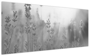 Tablou - Lavanda (120x50 cm)