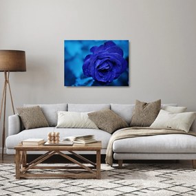 Tablou pe sticlă cu trandafir albastru (70x50 cm)