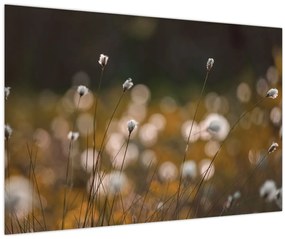 Tablou - Pajiște cu iarbă de cozonac N⁰2 (90x60 cm)