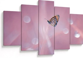 Tablou - Fluturele (150x105 cm)