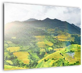 Tablou plantație (70x50 cm)
