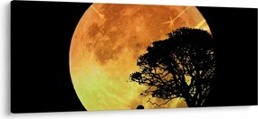Tablou cu umbre în lumina lunii (120x50 cm)