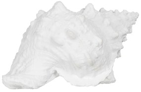 Statuetă din polirășină (înălțime 12 cm) Seashell – Ixia