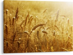 Tablou - Spice de cereale (70x50 cm)