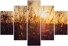 Tablou - Câmp la apus de soare (150x105 cm)