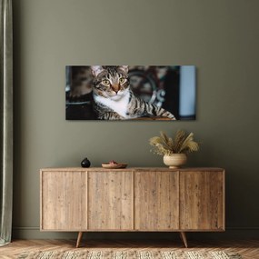 Tablou cu pisica (120x50 cm)