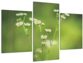 Tablou - Margarete (90x60 cm)