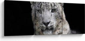 Tablou - Snow Leopard (cu ceas) (90x30 cm)