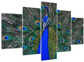Tablou - Păun (150x105 cm)