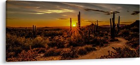 Tablou - Sfărșit de zi în deșertul Arizona (120x50 cm)