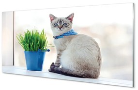 Tablouri acrilice ședinței de pisică