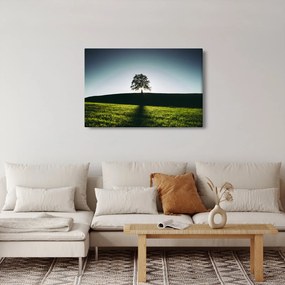 Tablou cu natura - copac (90x60 cm)