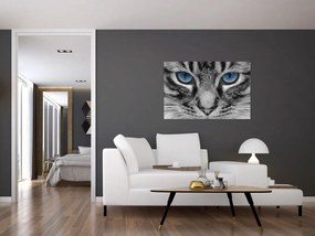 Tablou cu pisica (90x60 cm)