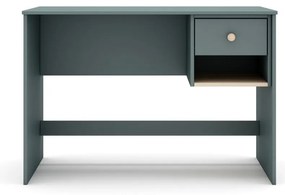 Birou de copii 55x110 cm Esteban – Marckeric