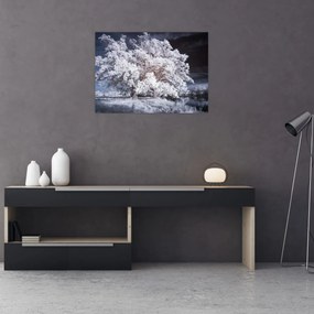 Tablou - Albă ca Zăpada Copac (70x50 cm)