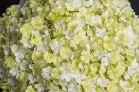 Aranjament floral elegant in forma de sfera, SPHERE SNOWBALL 30cm