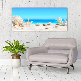 Tablou - Natura morta cu scoici (120x50 cm)