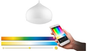 Eglo 98047 - Lustră suspendată COMBA-C LED RGBW dimabilă pe cablu LED/18W/230V BT
