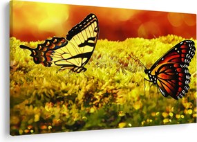 Tablou cu fluturi (90x60 cm)