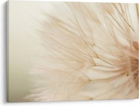 Tablou - Detaliu flori (70x50 cm)