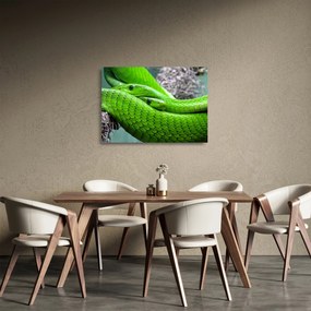 Tablou pe sticlă cu șerpi verzi (70x50 cm)