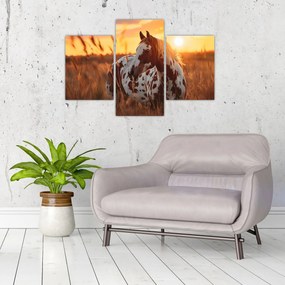 Tablou - Cal la Apus (90x60 cm)