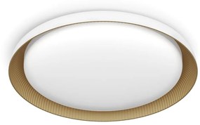 Plafonieră LED dimabilă Philips PEBBLO LED/10W/230V 4000K alb