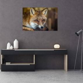 Tablou cu vulpe (90x60 cm)
