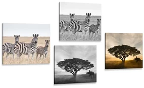 Set tablouri animale trăitoare în Savannah