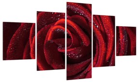 Tablou cu trandafir roșu (125x70 cm), în 40 de alte dimensiuni noi