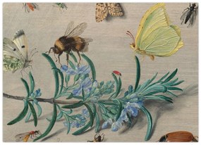 Tablou pe sticlă - Jan van Kessel the Elder, Insects and a Sprig of Rosemary, reproducere (70x50 cm)