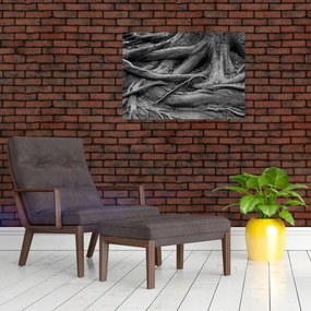 Tablou pe sticlă - Rădăcinile copacului (70x50 cm)