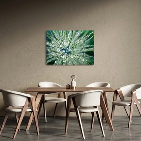 Tablou pe sticlă - Imagine macro a unei flori (70x50 cm)