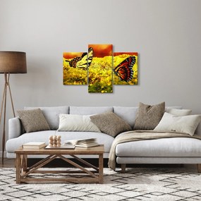Tablou cu fluturi (90x60 cm)