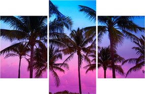 Tablou - Palmieri din Miami (90x60 cm)