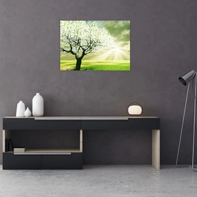 Tablou pe sticlă cu pomul înflorit (70x50 cm)