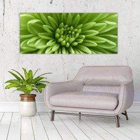 Tablou - Imagine macro a unei plante (120x50 cm)