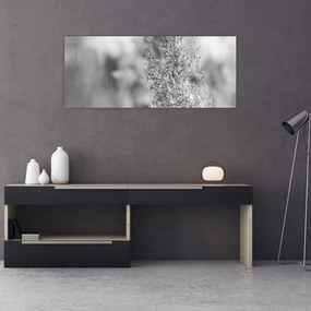 Tablou - Iarbă de pampas Boho (120x50 cm)