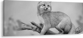 Tablou - Vulpe gri (120x50 cm)