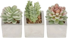 Set de 3 plante artificiale Generic, plastic, verde/alb, 9,5/12 cm