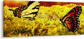Tablou cu fluturi (120x50 cm)