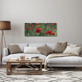 Tablou - Lunca cu maci (120x50 cm)