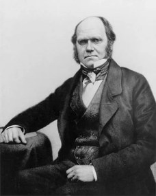 Fotografie Portrait of Charles Darwin, 1854, English Photographer,