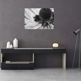 Tablou pe sticlă - Floare în alb-negru (70x50 cm)