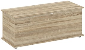 HOMCOM Cutie de depozitare, banc de depozitare cu capac rabatabil și balamale de siguranță, 100 x 40 x 40 cm, natural | Aosom Romania